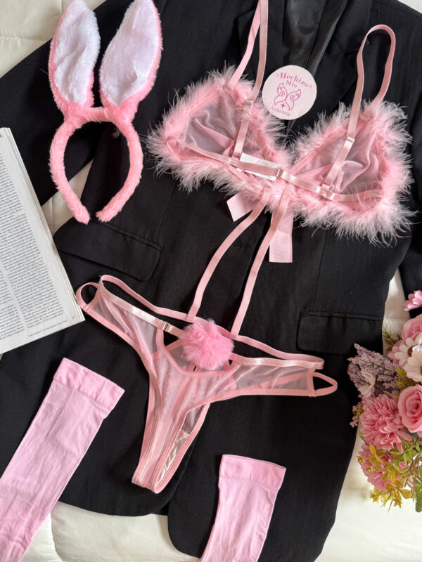 Conjunto Harriett